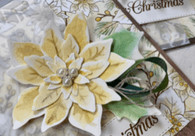 A5486766-53B2-480D-920D-7B3E26F20008-285x400