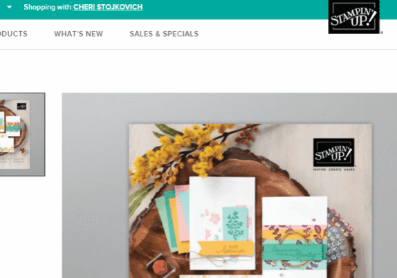 catalogpage-800x402