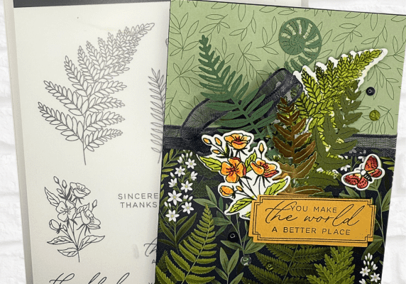 fern3-572x800