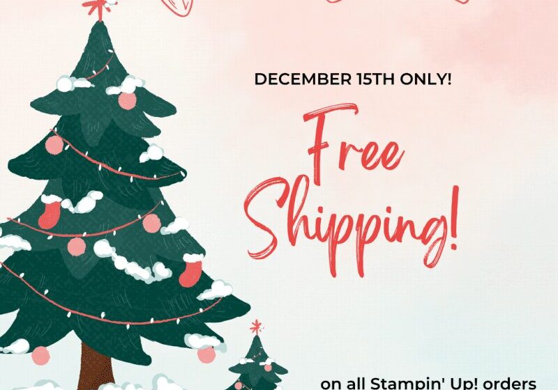 free-ship-800x800