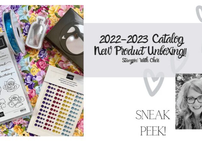 newcat-800x450