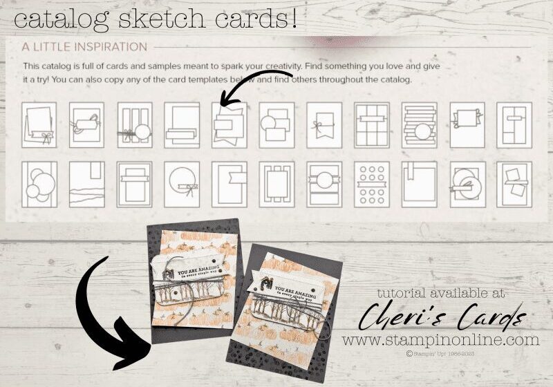 template1-800x572